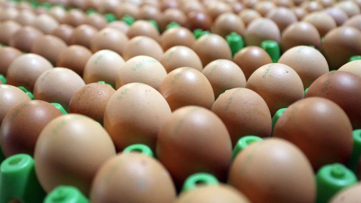 Cartons of eggs stacked on pallets at an egg packing facility
