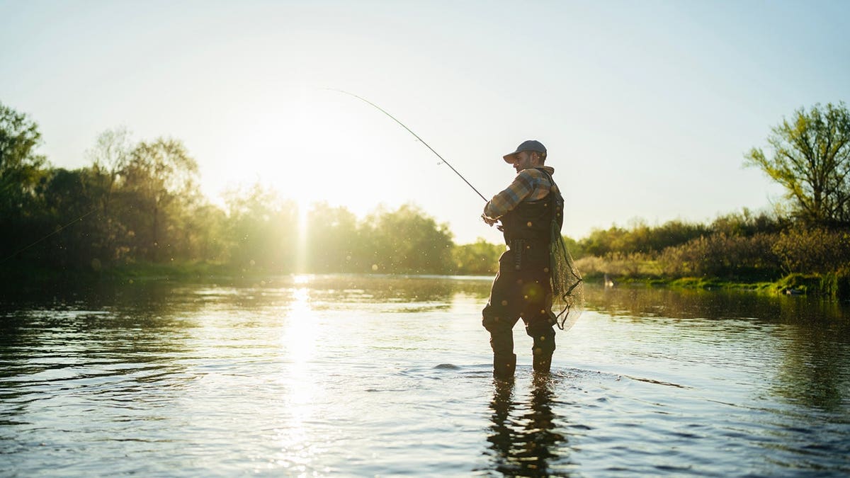 Fisherman fly fishes in a river at sunset.