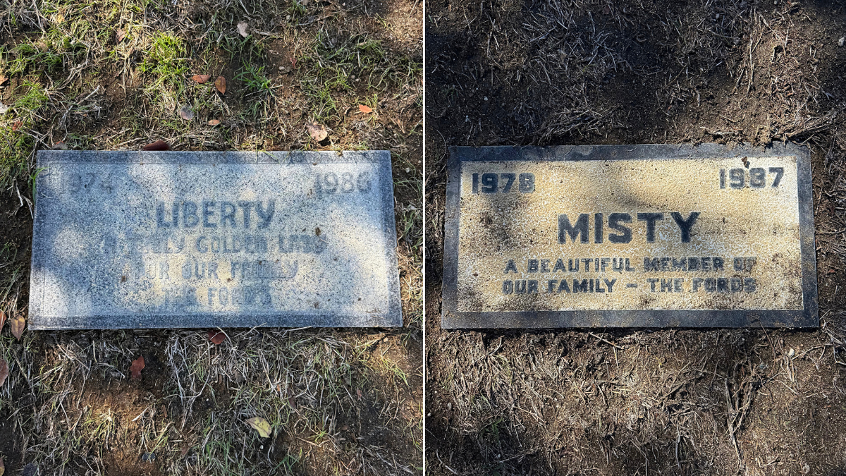 liberty and misty ford graves