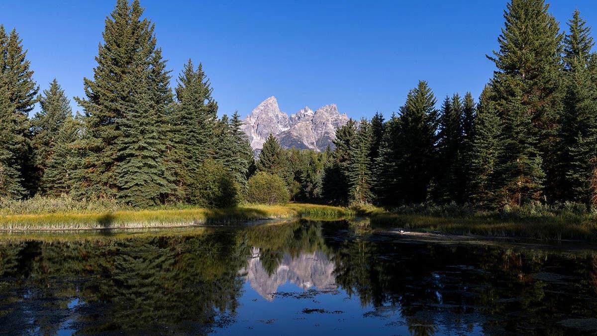 Grand Teton National Park rises near Moran, Wyoming.