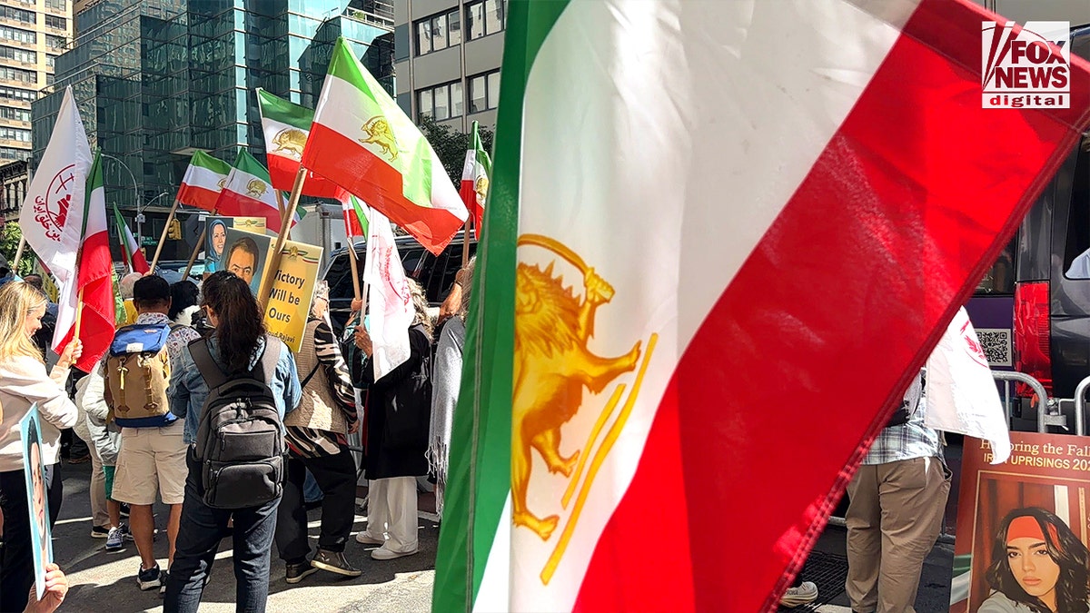 Demonstrators hold signs and flags.