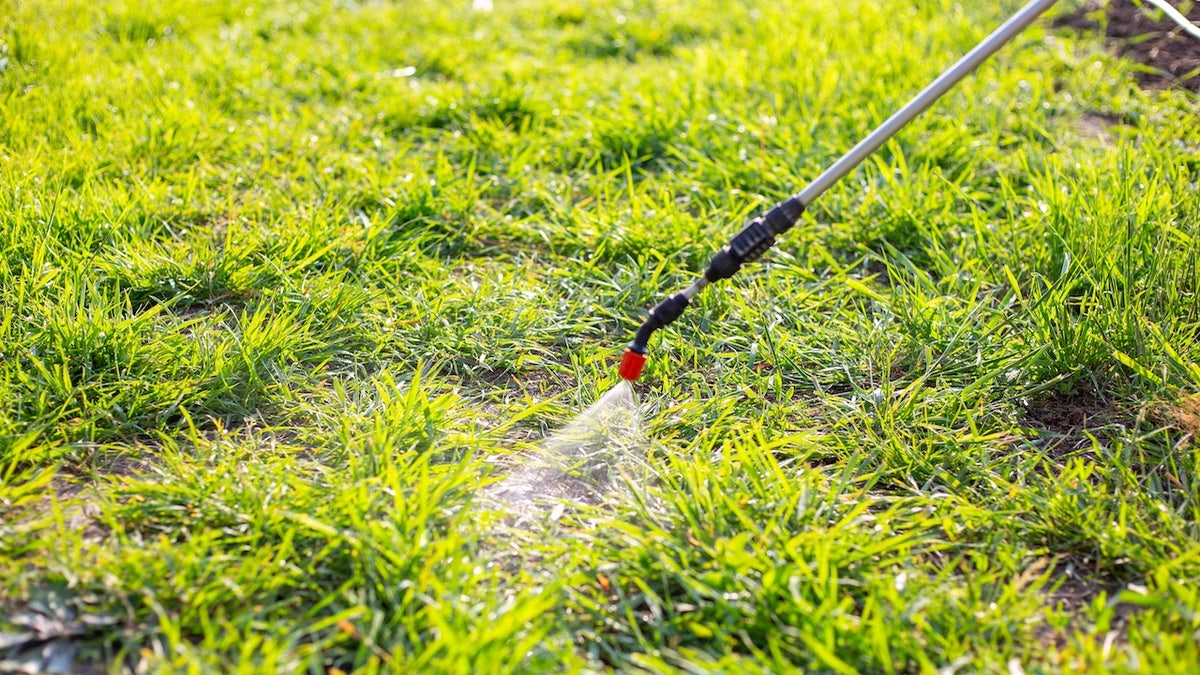 Spraying pesticides