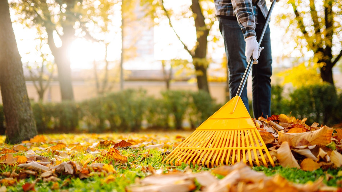 Rake leaves, trim brush and prepare your garden for winter with these tools.