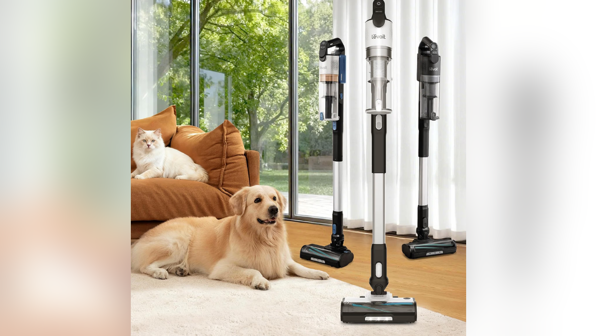 The Levoit cordless vacuum offers up to 50 minutes of runtime.