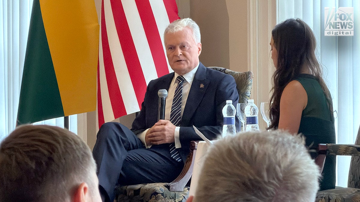 Lithuanian President Gitanas Nausėda speaks to a crowd of people.