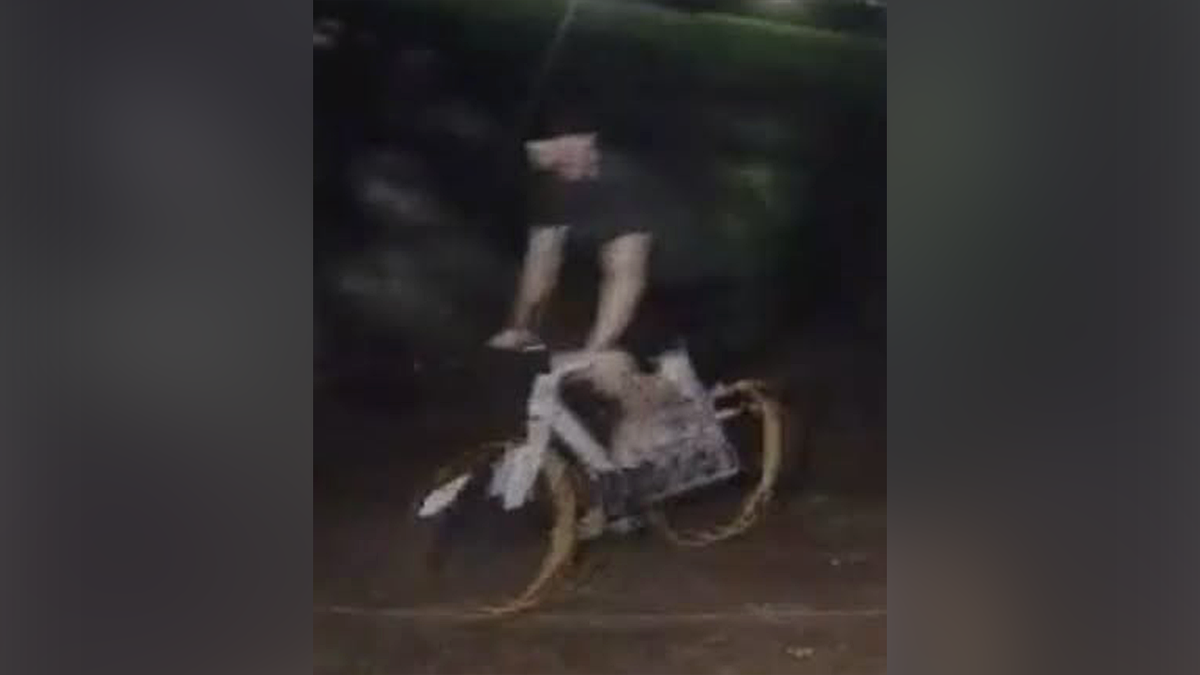 Man flees on a bike with luxury towels after becoming infatuated with a rubber duck