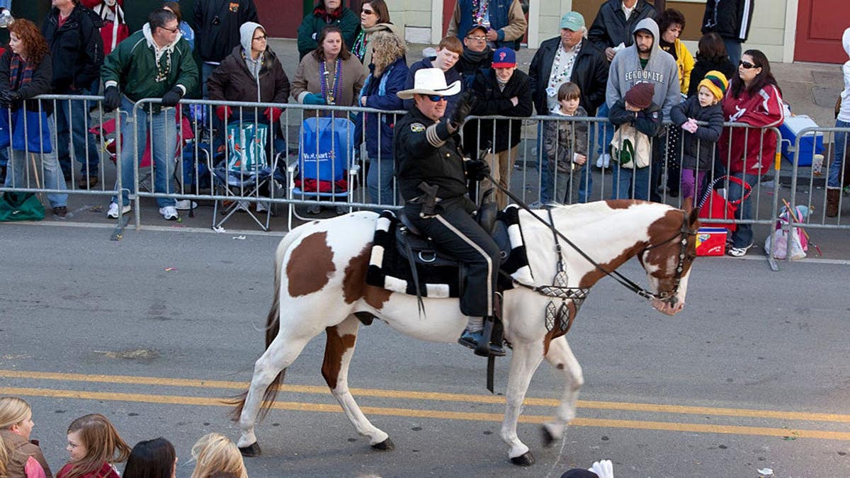 Mardi Gras celebration in Mobile, Alabama.