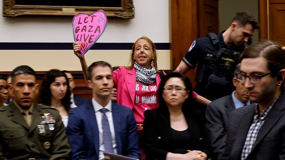 Arc of Justice leader and CodePink co-founder Medea Benjamin holds a 