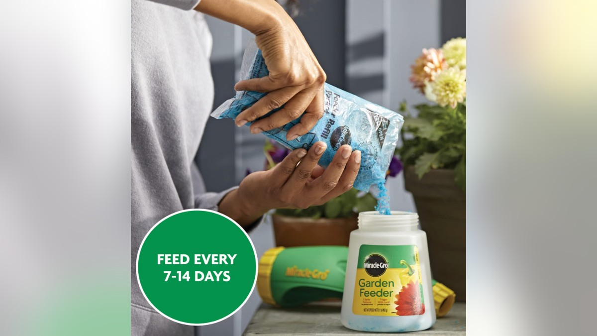 Miracle-Gro plant food helps feed indoor and outdoor plants while you water.