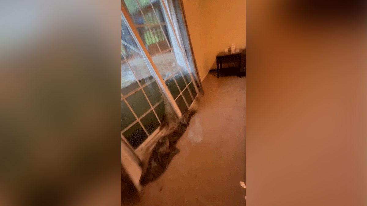 french doors on verge of breaking