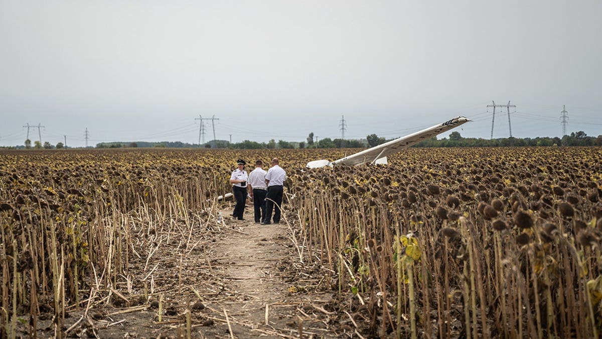 Officials at a sunflower field in Hungary, locating a damaged aircraft.