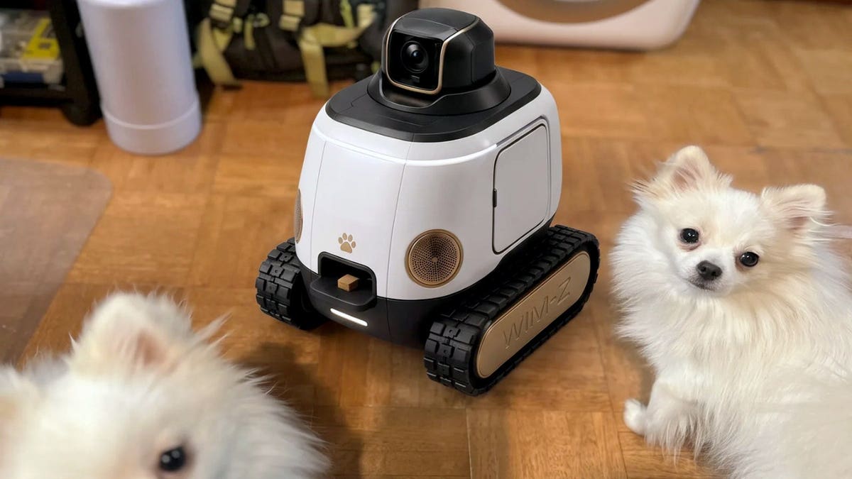 Two dogs next to a robot dispensing a treat.