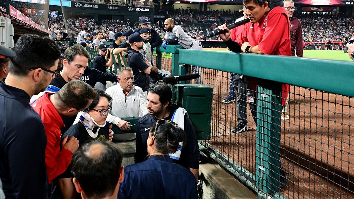 Medical personnel inspect a photographer's head after a foul ball at a Yankees-Angels game.