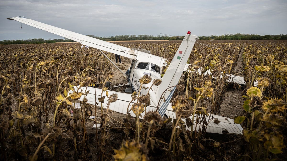 A plane crash in a sunflower field in Hungary.