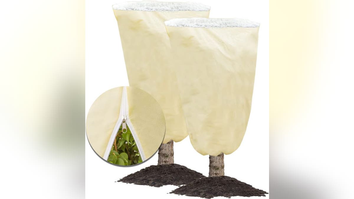 Help your plants avoid harm during the winter months.