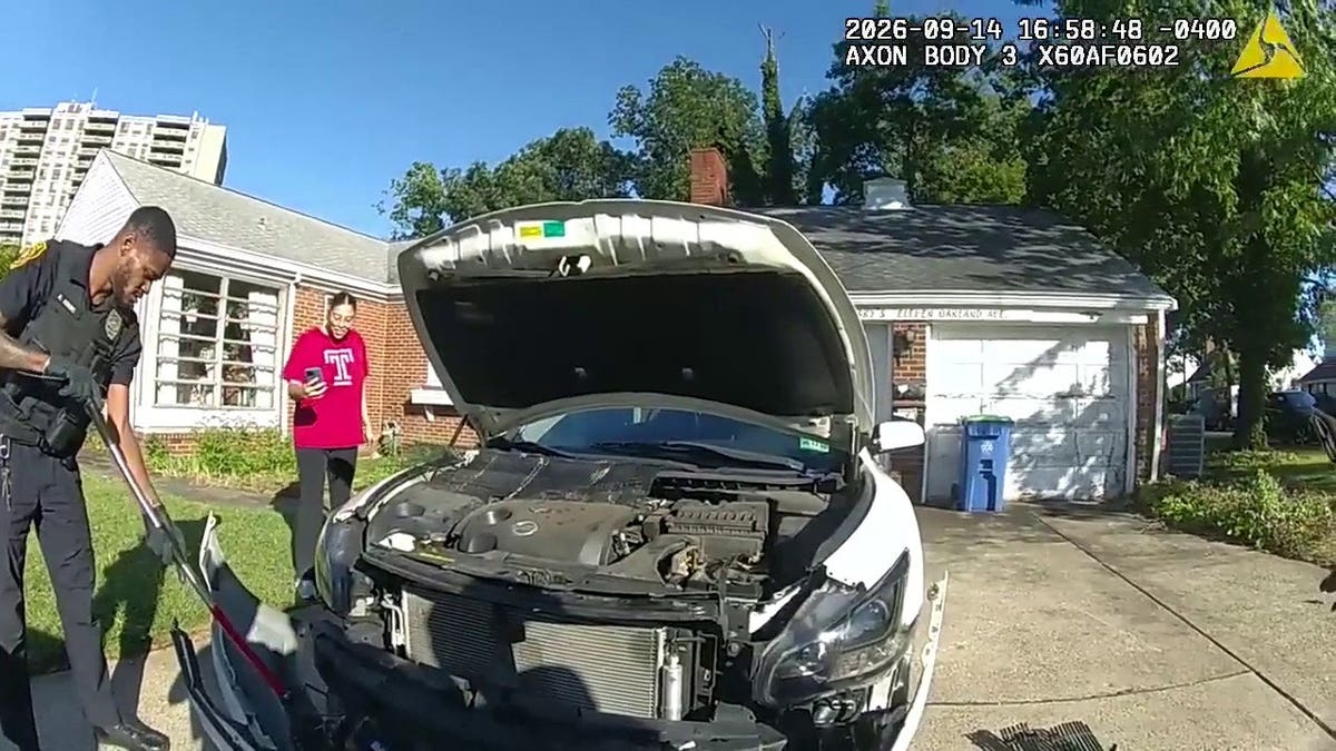 Police officers work to rescue a 3-foot python trapped in a car's front grille.