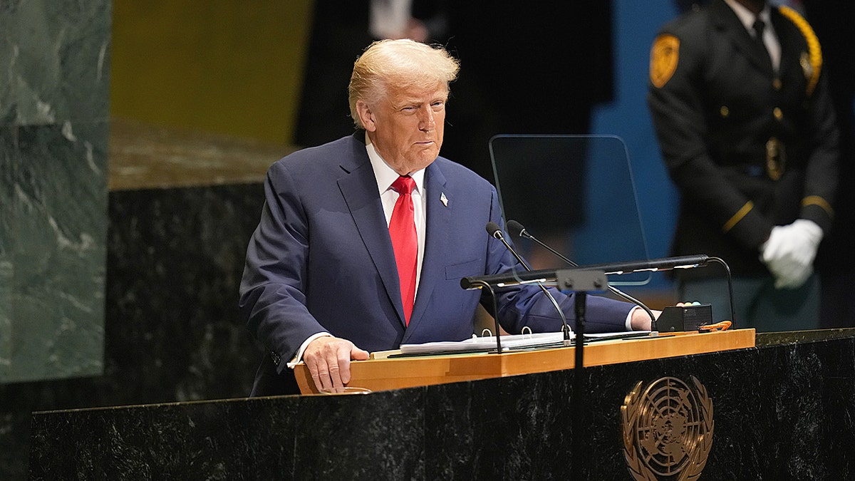 President Donald Trump