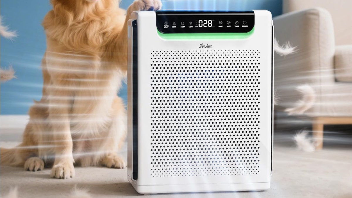 The FreAire air purifier uses a multi-stage filtration system.