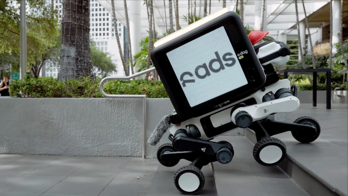 A robot delivery dog climbs stairs while displaying an advertising screen.