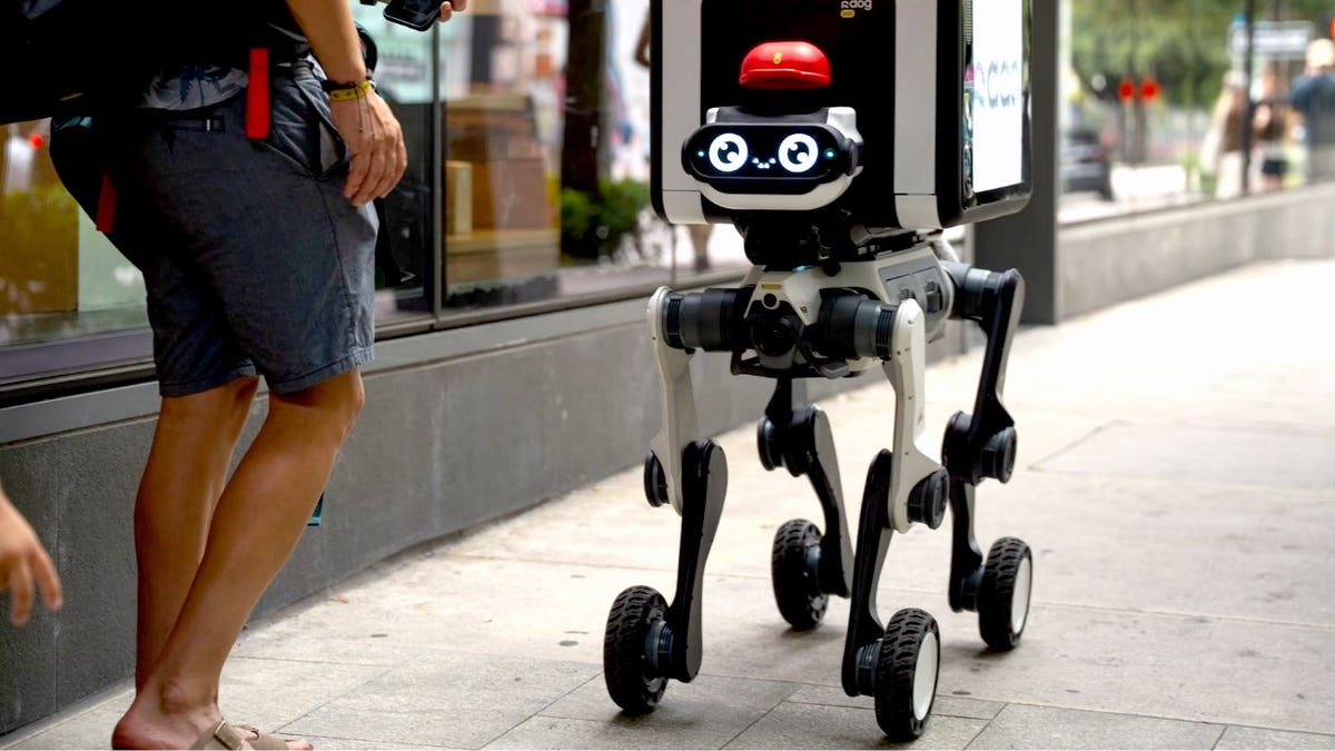 Robot delivery dog rolls down the sidewalk.