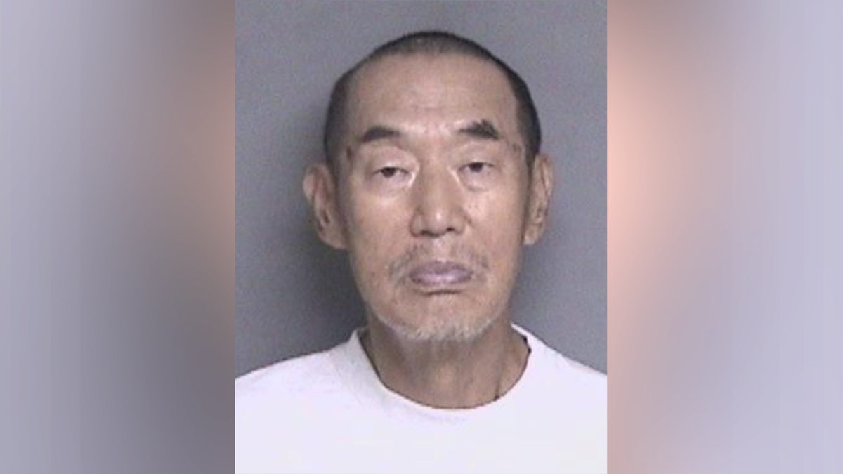 Shouyong Zhang, 77, was arrested on suspicion of murder in the fatal shooting of his son-in-law, Jonathan McKinsey, in Dublin, California.