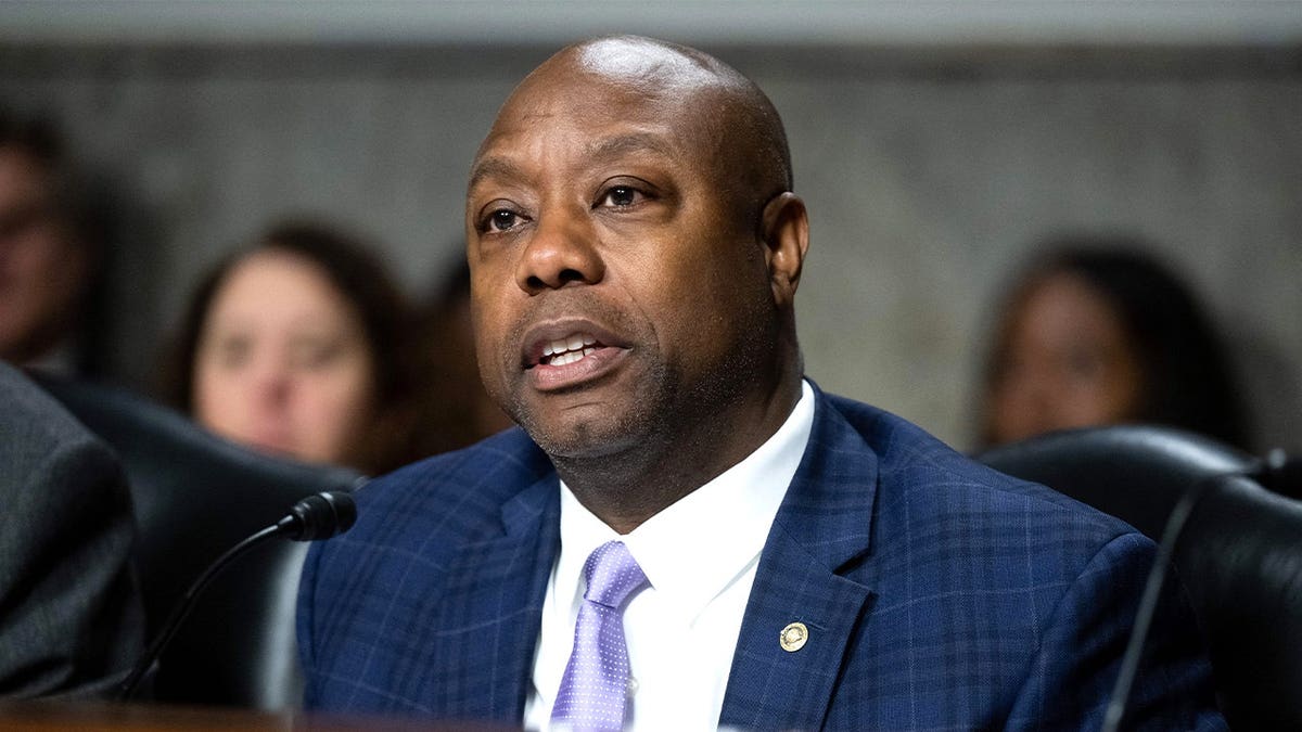 Sen. Tim Scott speaking at a committee hearing