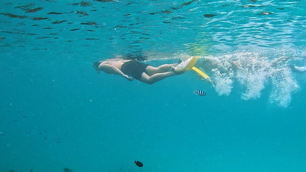 Swimmer moves through clear tropical water above a shallow reef.