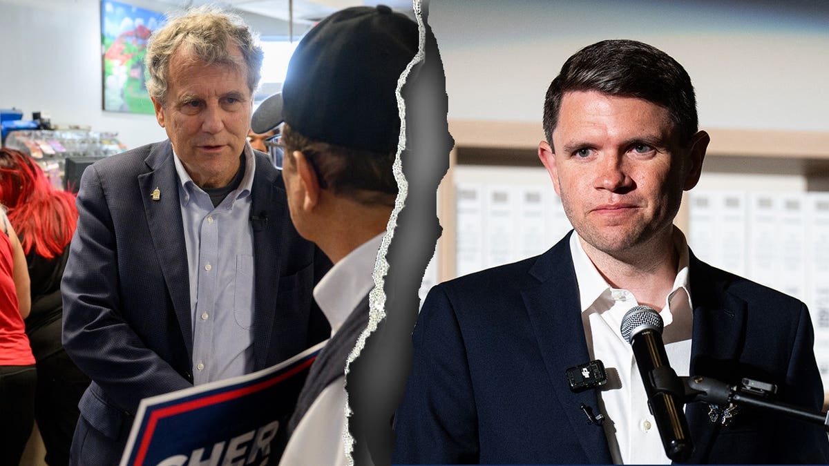 Sherrod Brown and James Talarico split-image