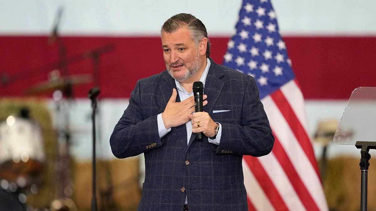 Sen. Ted Cruz speaks