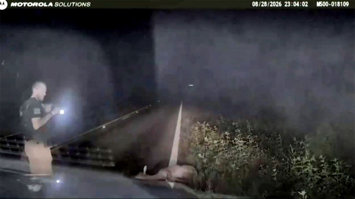 A deer lies motionless on a roadside as a deputy approaches.