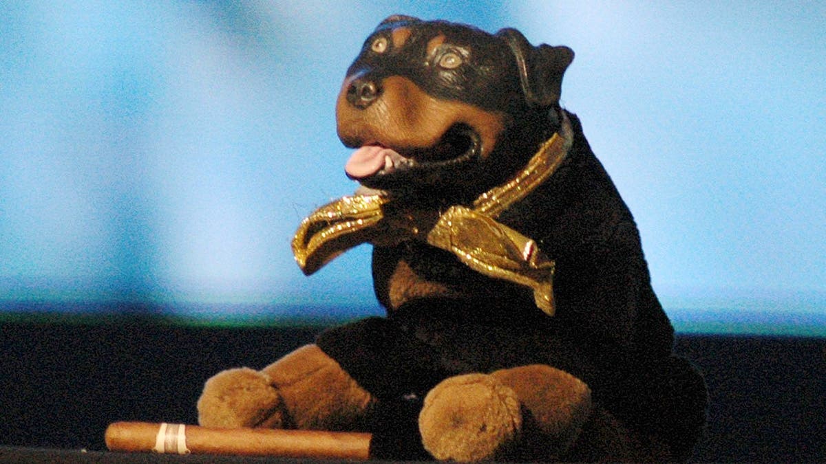 Triumph the Insult Comic Dog
