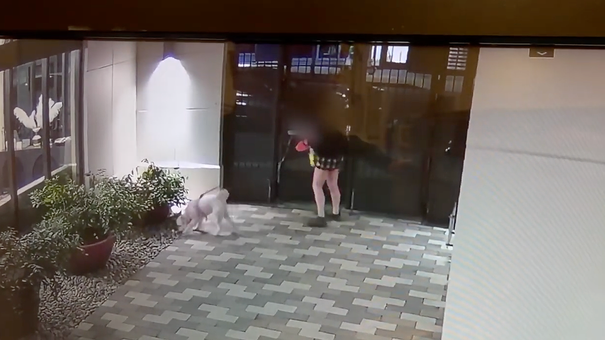 Man follows UC Berkeley student and her dog