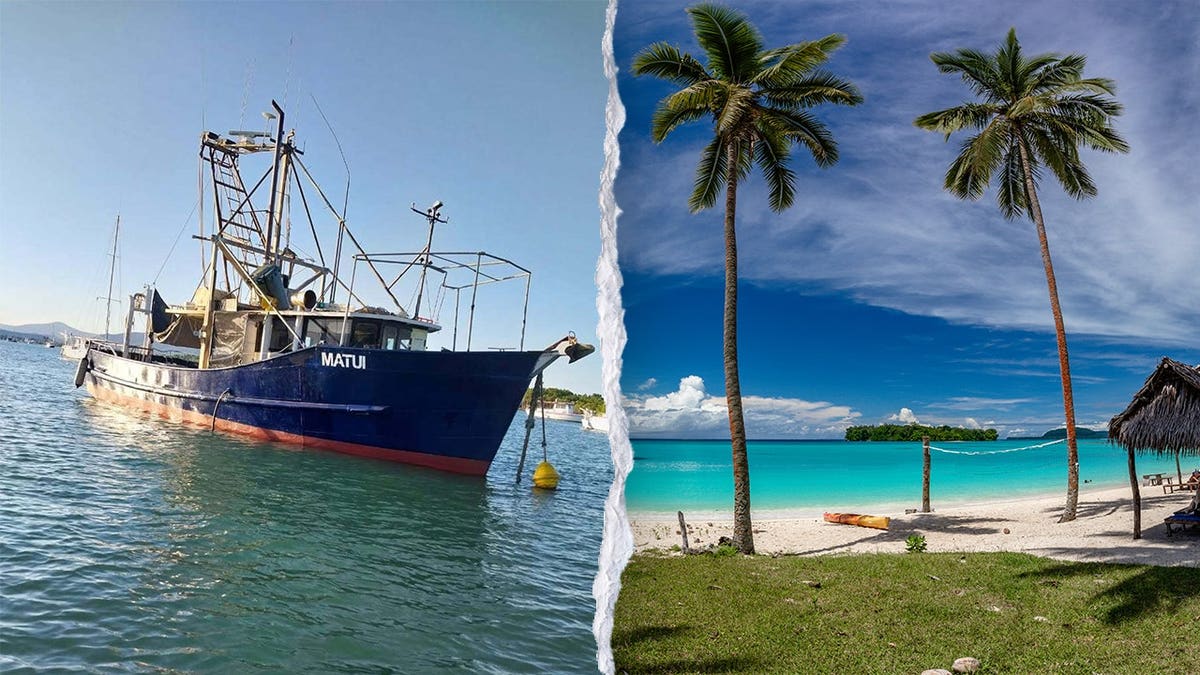 A shipping boat in Vanuatu with a split of palm trees at Vanuatu beach.