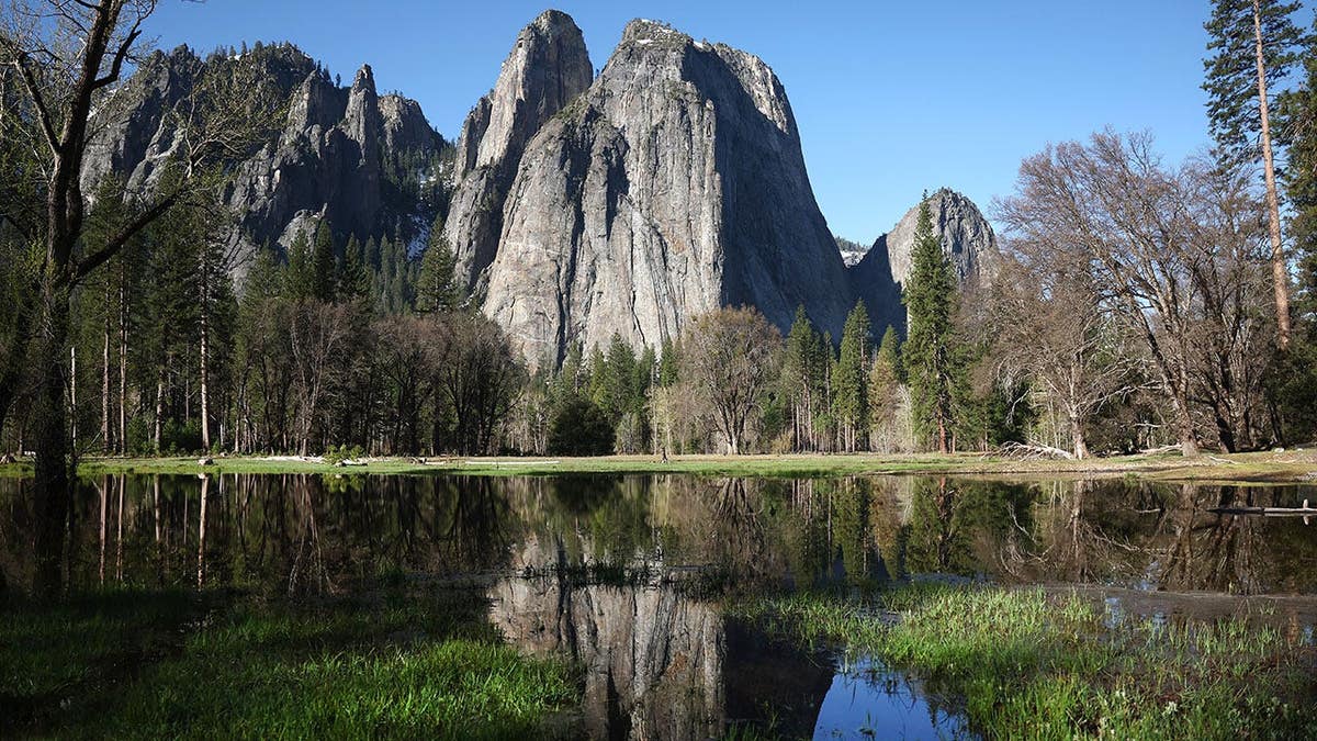 A meadow floods in Yosemite Valley as snowpack runoff increases from warming temperatures.