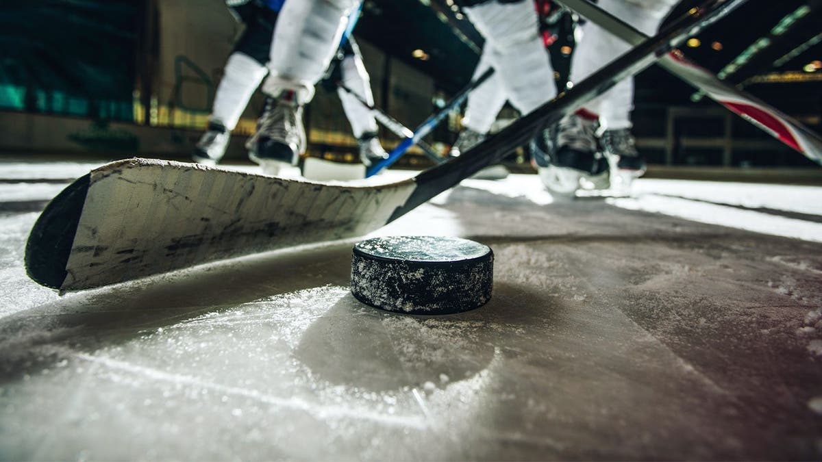 Youth hockey players