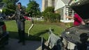 New Jersey police pull out 3-foot python from woman's car grille, bodycam video shows