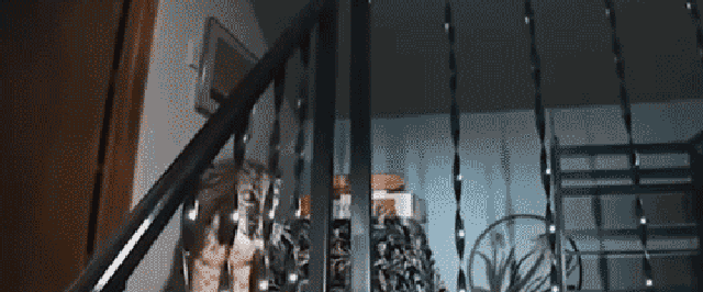 Homeowner hears banging and calls 911, cops find a surprise waiting upstairs - Fox News