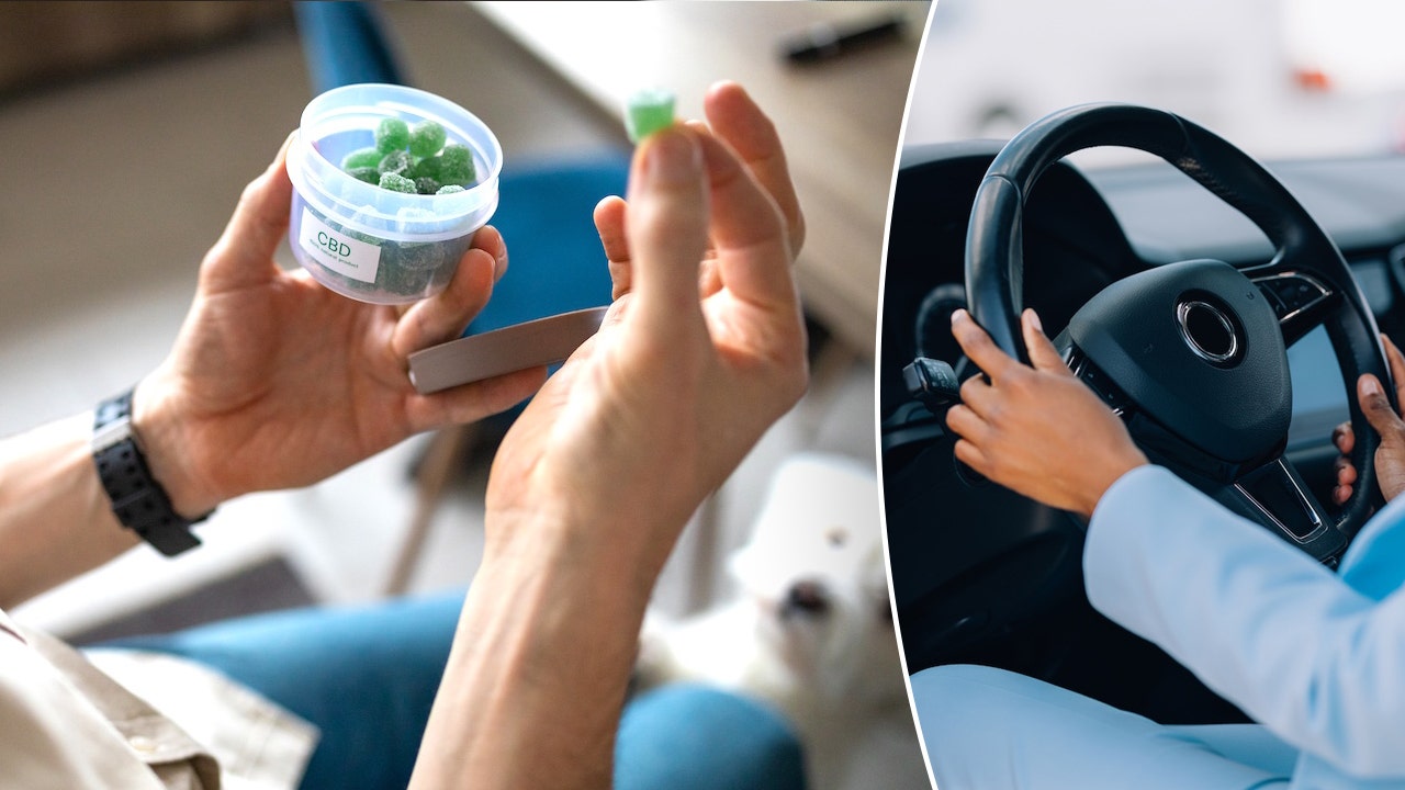 foxnews.com - Khloe Quill - Marijuana users may face hidden driving danger that standard tests can miss