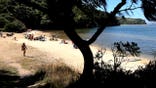 Visitors enjoying beach along Tomales Bay in California