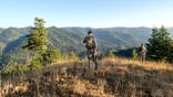 Stock image of hunter standing in wilderness