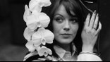 Actress Lesley-Anne Down, pictured with an orchid in 1974.