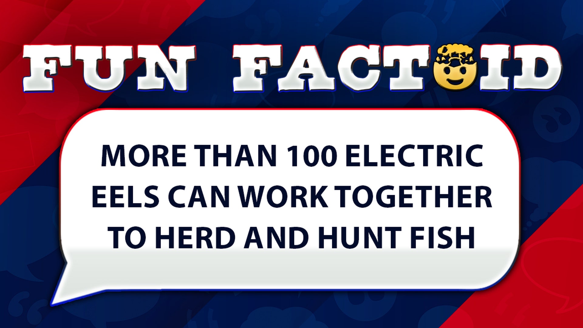 More than 100 electric eels can work together to herd and hunt fish