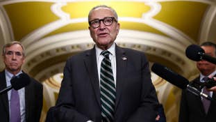 Chuck Schumer says Democrats have "the wind in our sails" ahead of the midterms, but polling errors and GOP money could upend the Senate map.