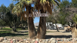 Hidden California desert pet cemetery holds unexpected piece of White House history