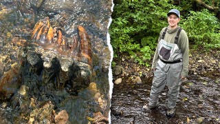 Strange rock catches scientist's eye during creek search, leading to rare discovery