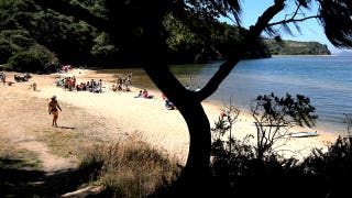 Deadly mystery unfolds as canoeists are found unresponsive after midnight trip