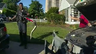 New Jersey police pull out 3-foot python from woman's car grille, bodycam video shows
