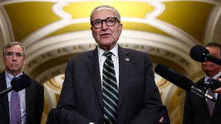 Schumer preaches affordability in Dem midterm pitch while sabotaging GOP fixes for soaring costs
