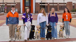 Incluso el fin de semana del estreno, puede que estos peludos amigos les roben el protagonismo a los jugadores de fútbol americano de Clemson y LSU en el campus
