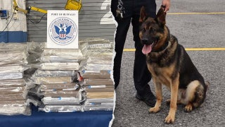 Hero K-9 sniffs out hidden $6M cocaine shipment along US-Canada border